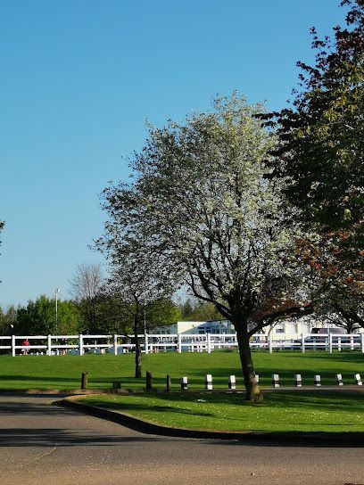 Rushden & Higham Rugby Club