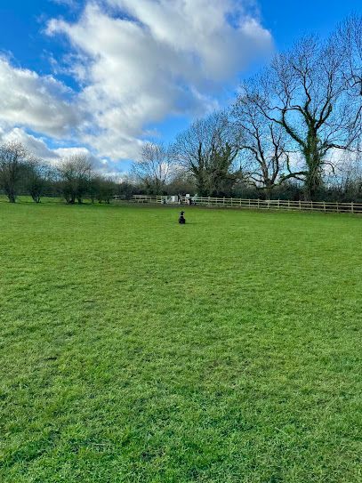 Stanwick Road Dog Park
